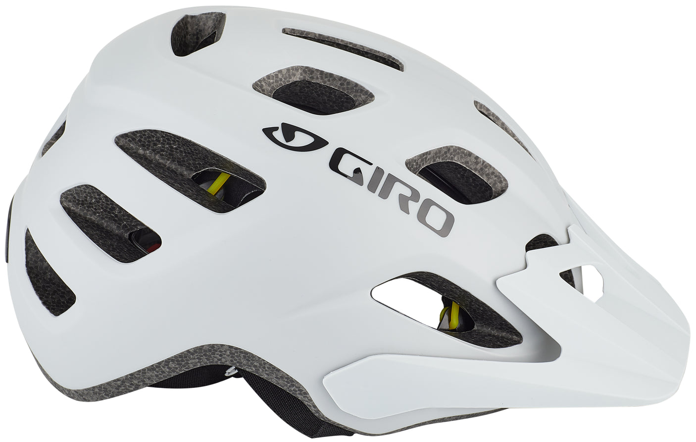 Giro Fixture MIPS Helm grau