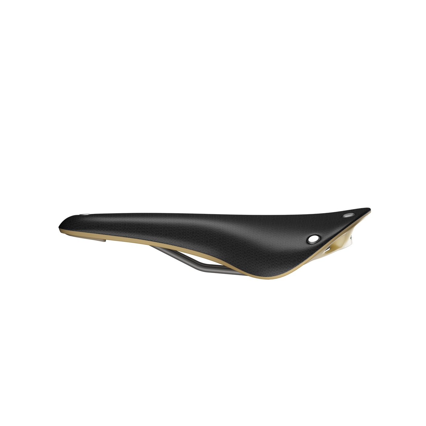 Brooks Cambium C17 Special Sattel schwarz